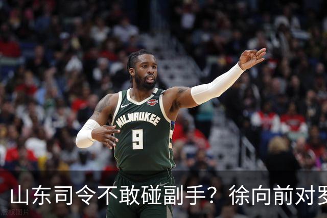 山东司令不敢碰副手？徐向前对罗荣桓一令不发，主席连换三将才破局