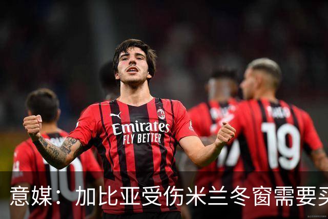 意媒：加比亚受伤米兰冬窗需要买中卫，关注伊纳西奥和金玟哉