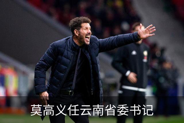 莫高义任云南省委书记