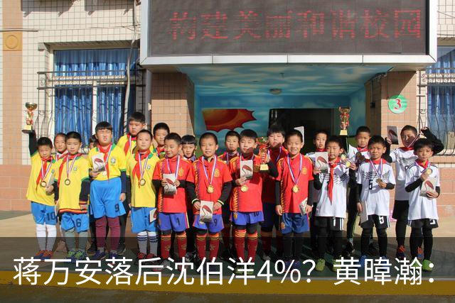 蒋万安落后沈伯洋4%？黄暐瀚：联合报民调挑动蓝营选民敏感神经