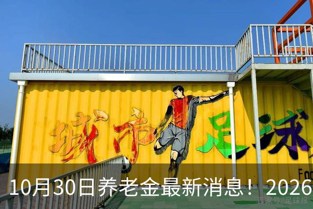 10月30日养老金最新消息！2026上调补发开启每个人补发月份不一样