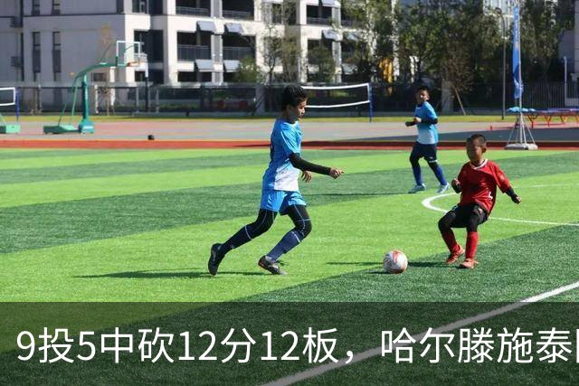 9投5中砍12分12板，哈尔滕施泰因两双撑起内线
